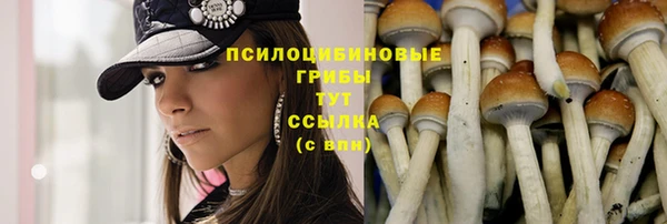 ECSTASY Абаза