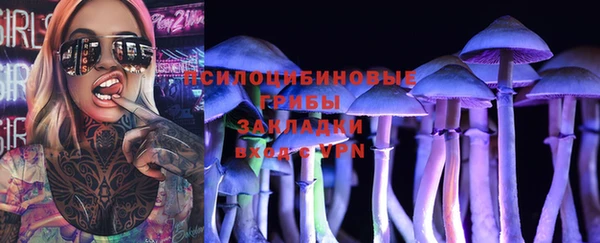 героин Алексин