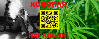 гашик Кулебаки