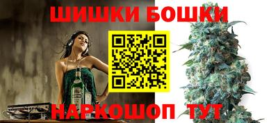 гашик Кулебаки
