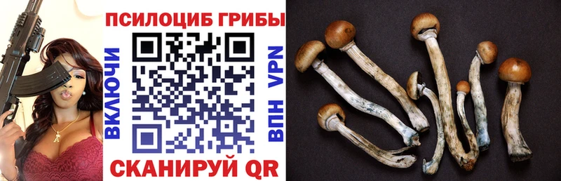 Галлюциногенные грибы прущие грибы  Касимов 